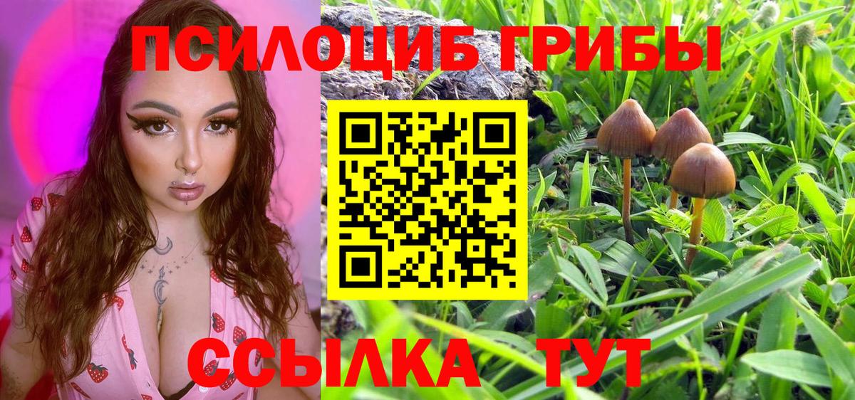 Галлюциногенные грибы Psilocybine cubensis  Псилоцибиновые грибы Psilocybe  Шадринск  Вход с VPN 